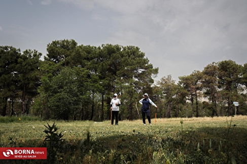 اردوی انتخابی تیم ملی وود بال