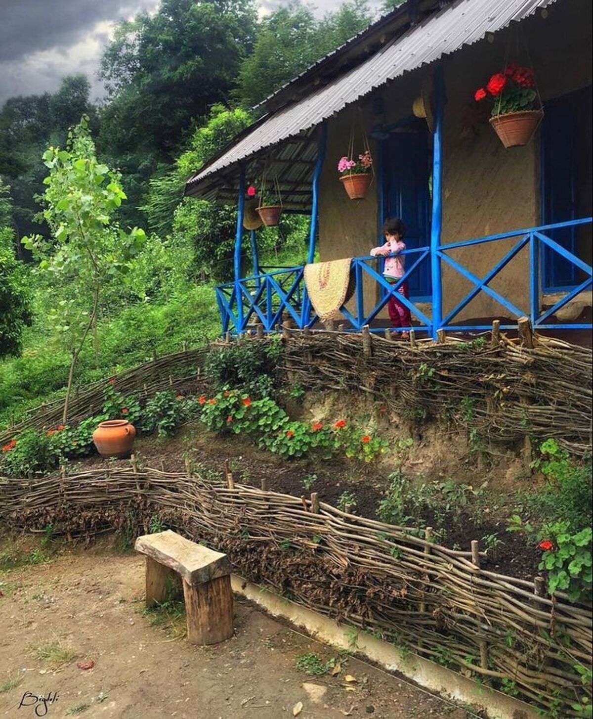 تنوع در اقامت: از حس نوستالژی کلبه چوبی تا تجربه بومی و آسایش ویلا