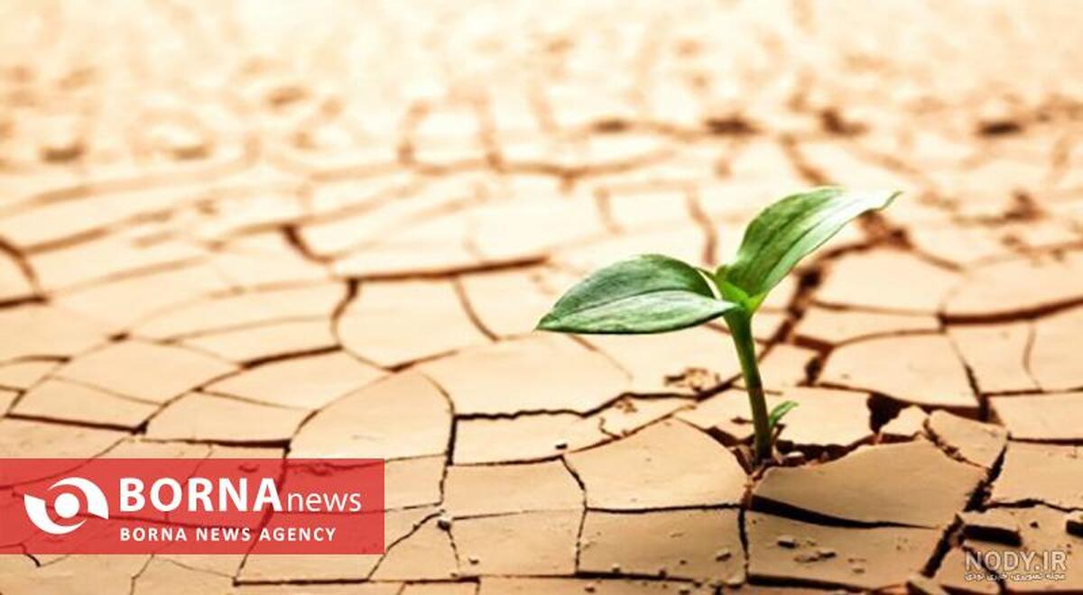 تغییر و تاب‌آوری جزء لاینفک زندگی