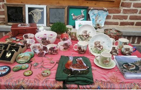 انقراض میش مرغها با گسترش ساخت و سازها/ توسعه انسانی تهدیدی جدی برای گونهای نادر انقراض میش مرغها با گسترش ساخت و سازها/ توسعه انسانی تهدیدی جدی برای گونهای نادر