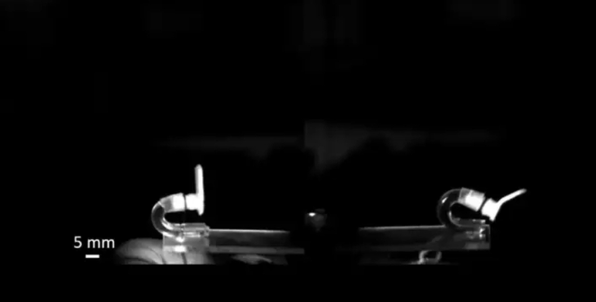 ساخت رباتی بدون پا که ۱۰ فوت پرش می‌کند!+ فیلم