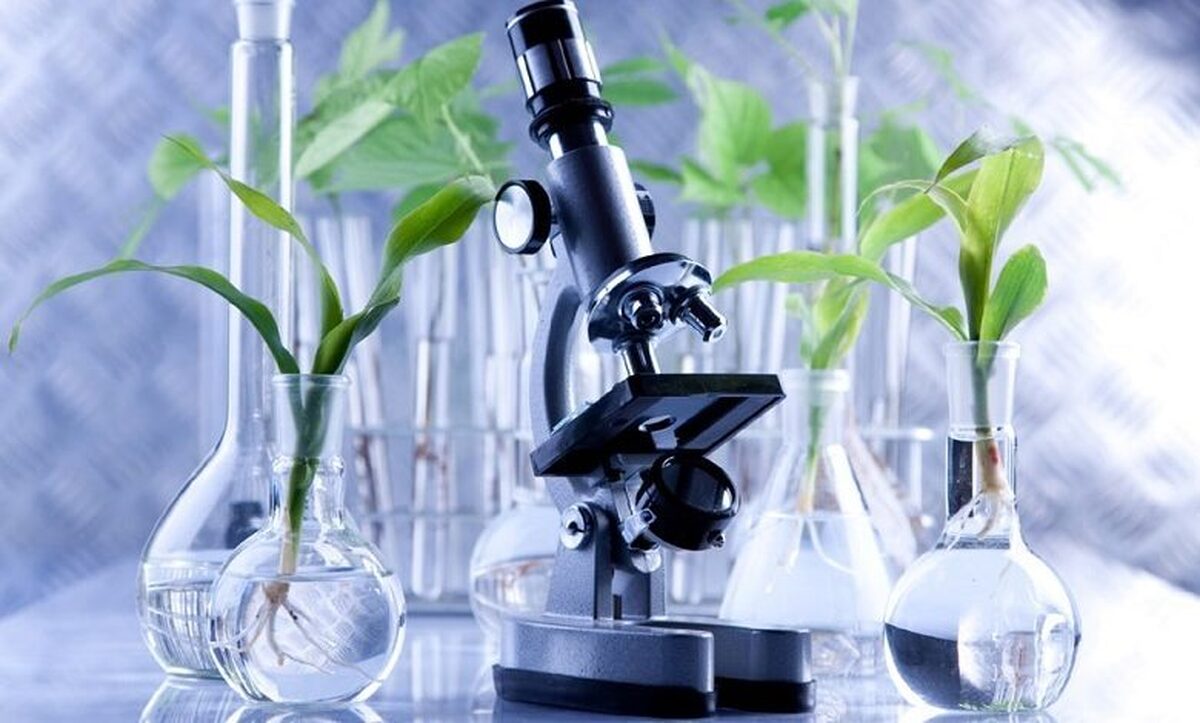 میزان سرمایه گذاری در زیست فناوری اعلام شد / تولید ۲۹۵ محصول دانش‌بنیان در حوزه زیستی
