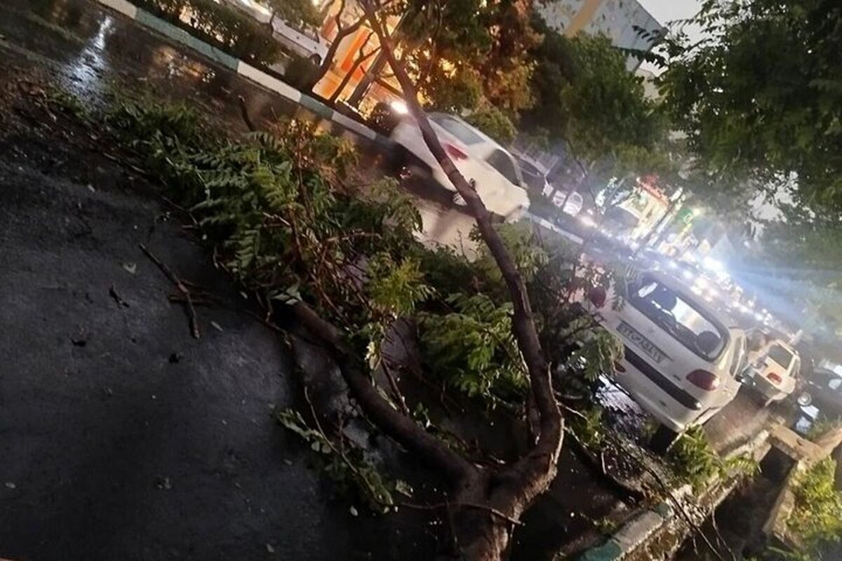 ۵ نفر در طوفان استان تهران مصدوم شدند