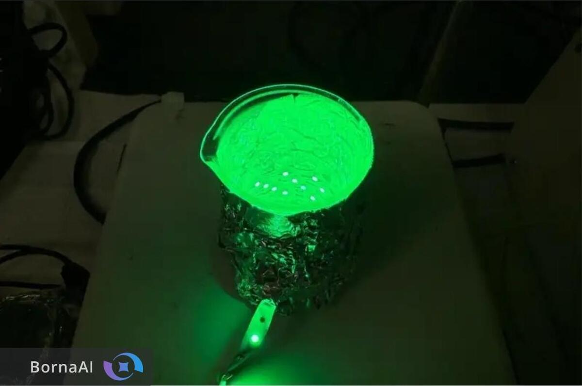 سلول‌های مصنوعی زنده شدند/ تولیدمثل بدون DNA!