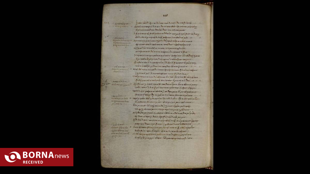 وقتی مرگ یک مورچه در ادبیات جاودانه می‌شود