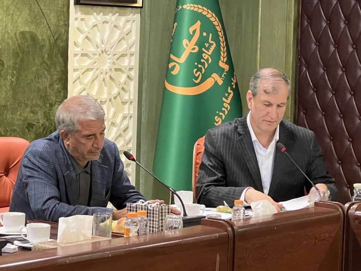 صادرات پسته ۱۴۳ درصد رشد کرد