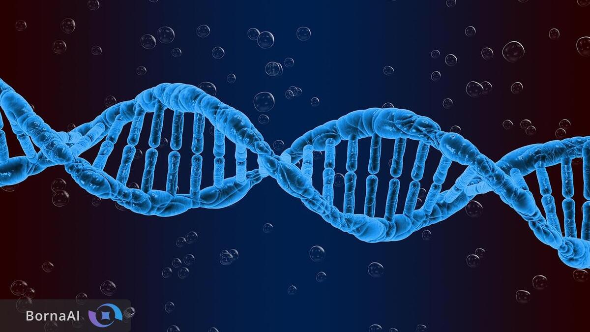 رصد لحظه‌به‌لحظه تعامل نانوساختارهای DNA برای نخستین‌بار