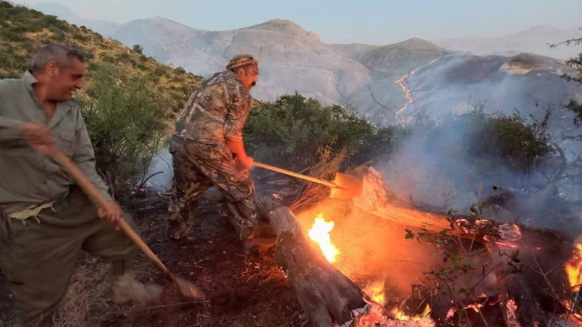 آتش سوزی پارک ملی گلستان تحت کنترل است+ فیلم