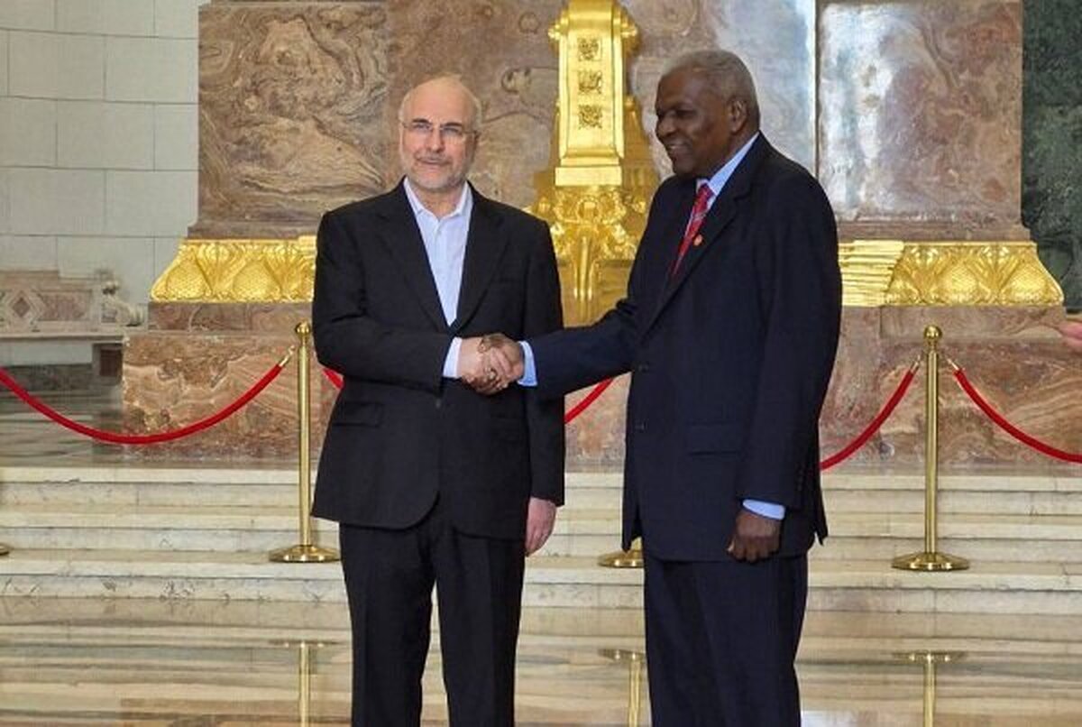 دیدار روسای مجالس ایران و کوبا