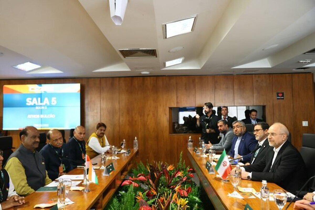 دیدار روسای مجالس ایران و هند