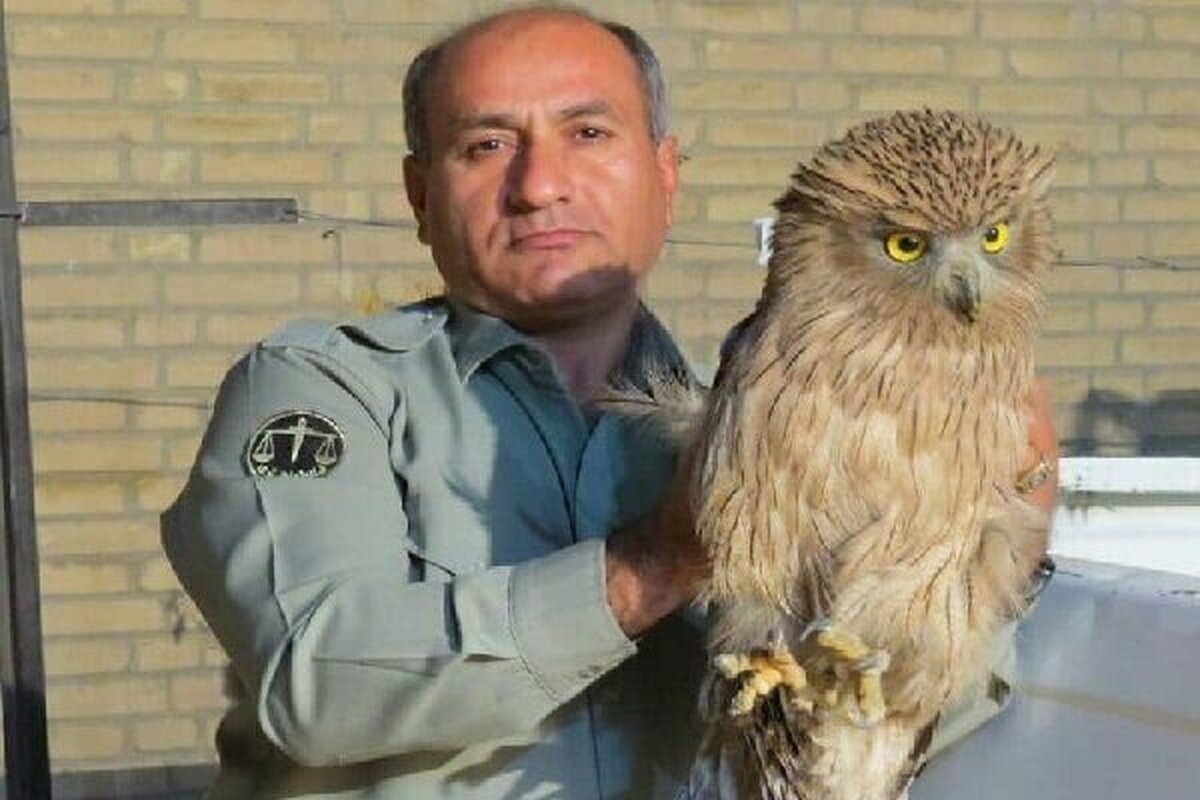 فقدان نظام حمایتی موثر برای محیط‌بانان و پیامدهای آن بر امنیت زیست‌محیطی کشور