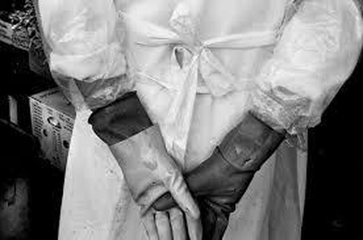 مهدی ملک‌محمدی: می‌پرسیدند چقدر پول می‌گیری که با جانت بازی می‌کنی