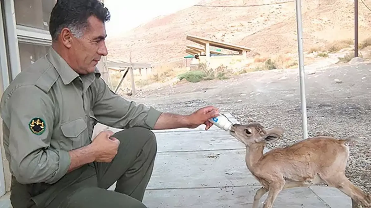 محیط‌بان باید برای خودش و خدای خودش زندگی کند