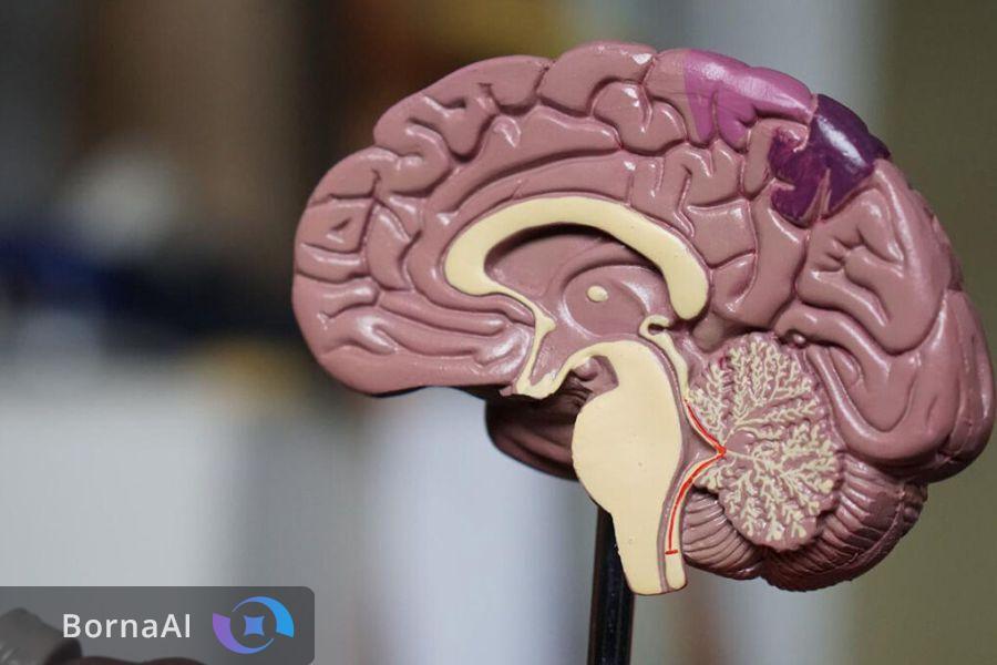 قندها به حافظه برگشتند!