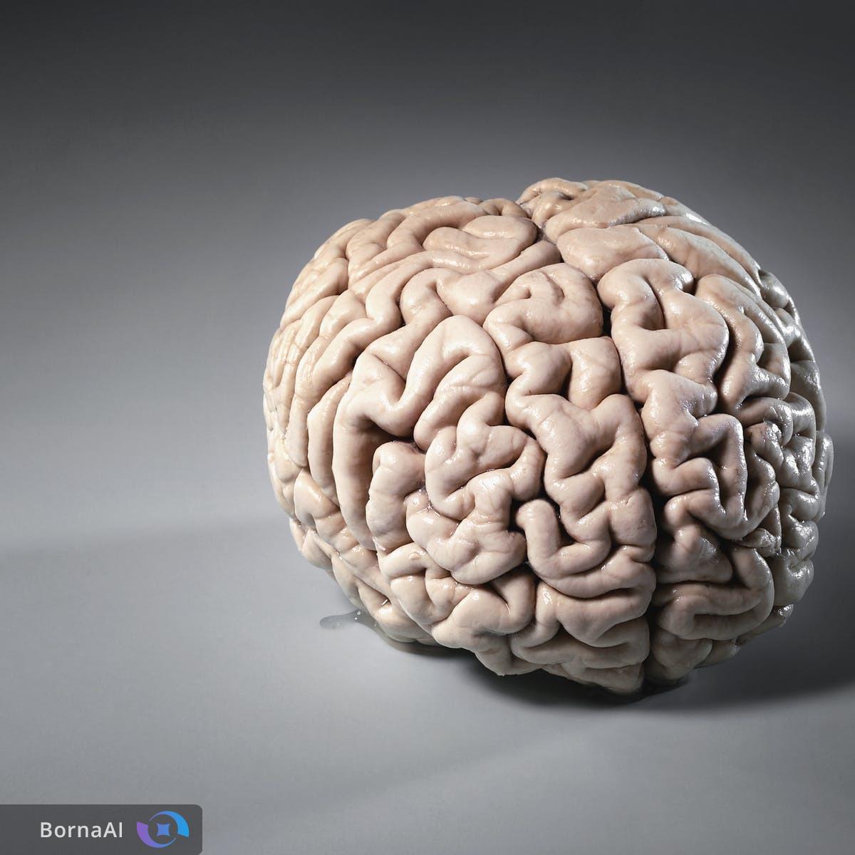 قندها به حافظه برگشتند!