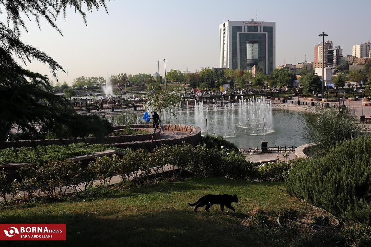 کیفیت هوای پایتخت در شرایط ناسالم