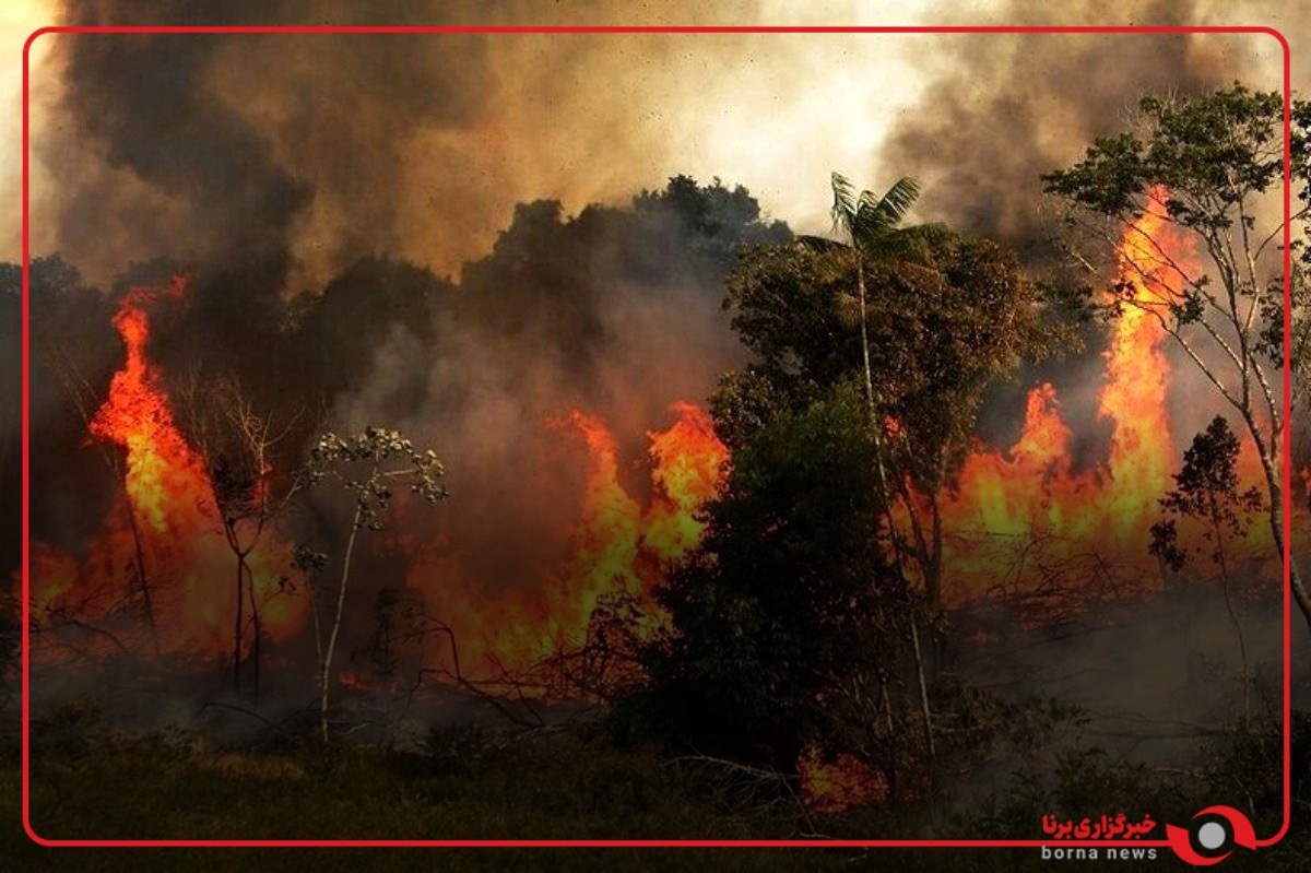 آتش‌سوزی گسترده در پارک ملی دز