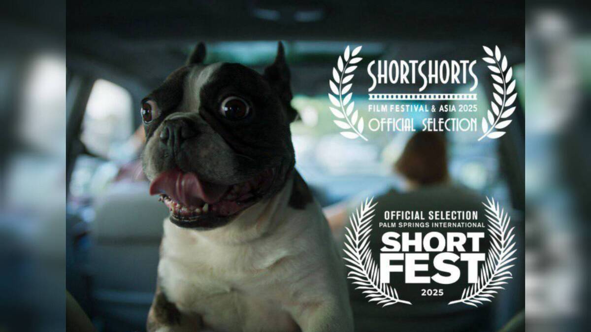 حضور فیلم کوتاه «گوسفند» در جشنواره‌های ژاپنی و آمریکایی