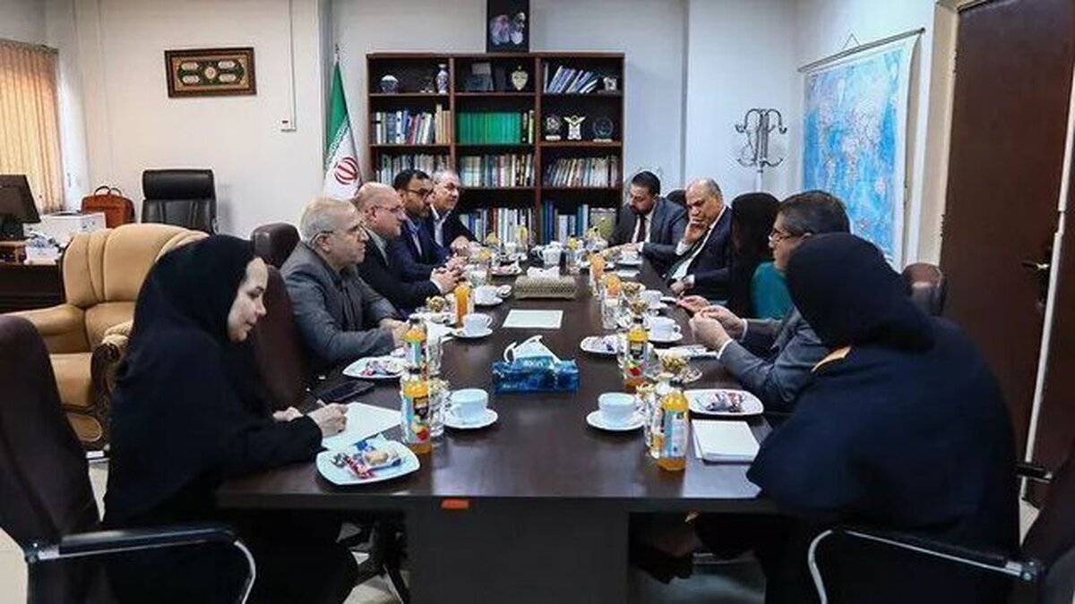 جلسه کارشناسی بررسی موضوعات نشست وزرای کشور ایران، پاکستان و عراق