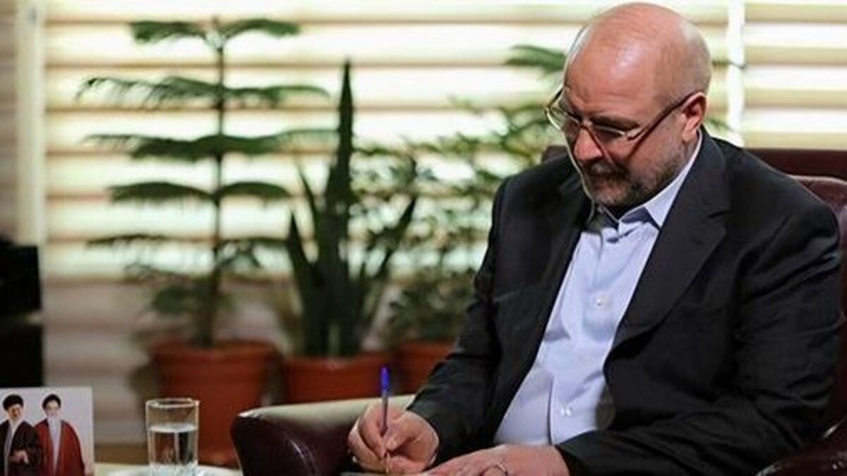 ایران در مقابل زیاده خواهی آژانس انرژی اتمی، اقدامات متقابل مقتدرانه انجام می دهد