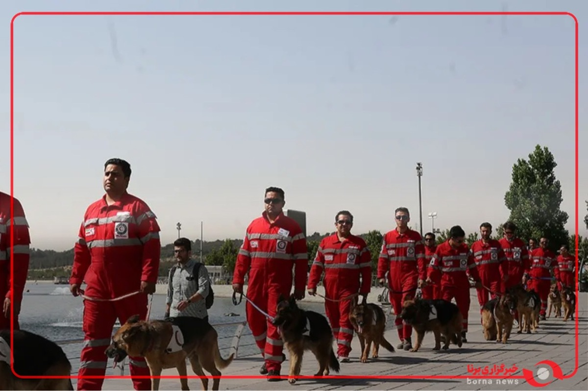 اعزام مجدد تيم هاى عملياتى و سگ هاى جستجو و نجات هلال احمر به ساختمانهای سعادت آباد