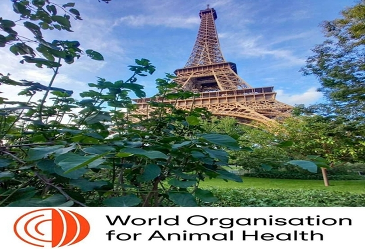 آغاز نشست عمومی مجمع نمایندگان سازمان جهانی بهداشت حیوانات در پاریس با حضور نماینده ایران