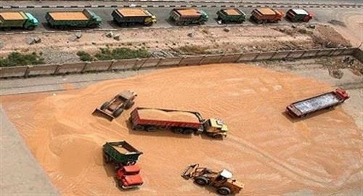 حمل و نقل روزانه ۱۳ هزار تُن گندم در خوزستان
