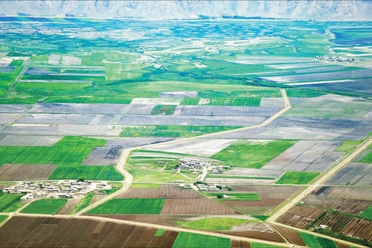 رفع تداخل ۵۶۰۰ هکتار از اراضی کشاورزی در استان قزوین