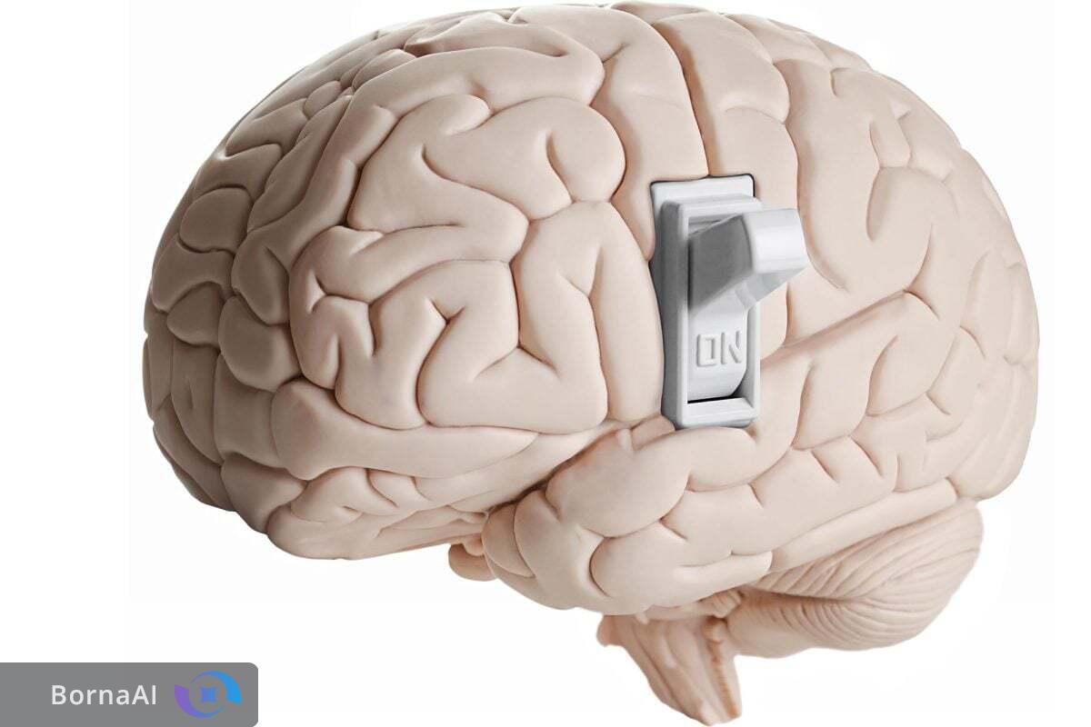 کلید مغز کشف شد؛ یک مسیر برای درمان چند بیماری