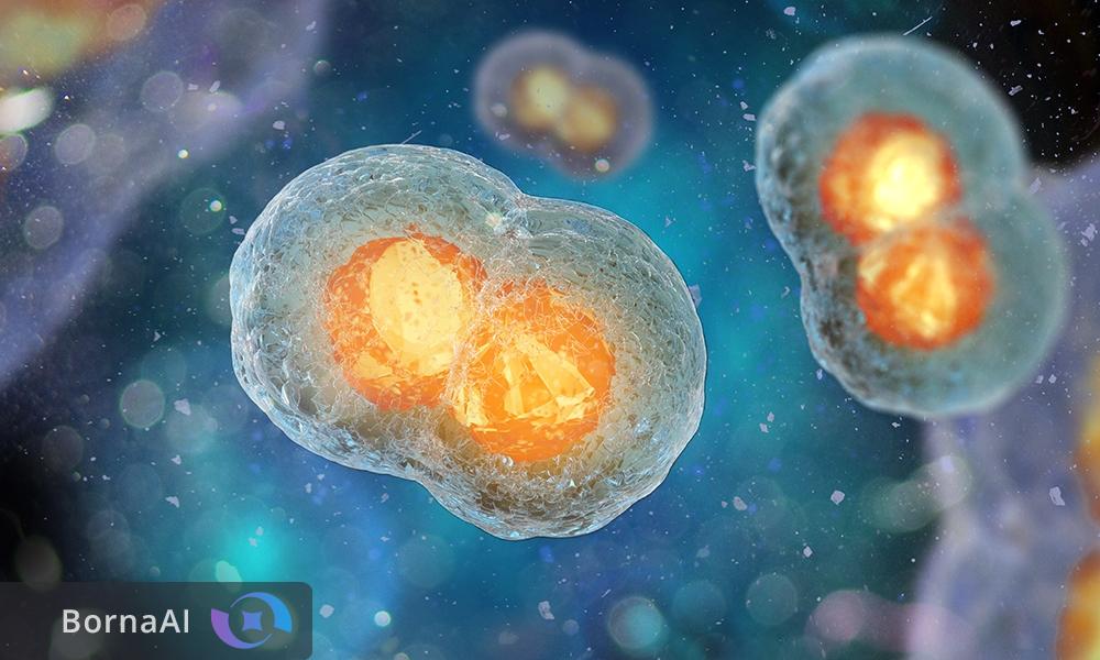 سرنوشت سلولی جنین قابل تغییر است؟ سرنوشت سلولی جنین قابل تغییر است؟