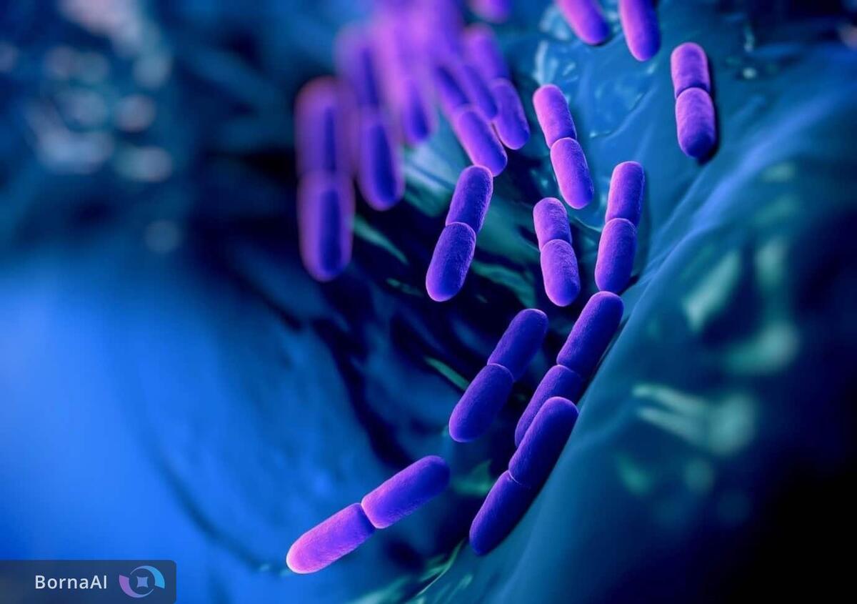 کمبود باکتری مفید در روده نوزادان زنگ خطر برای آسم و آلرژی