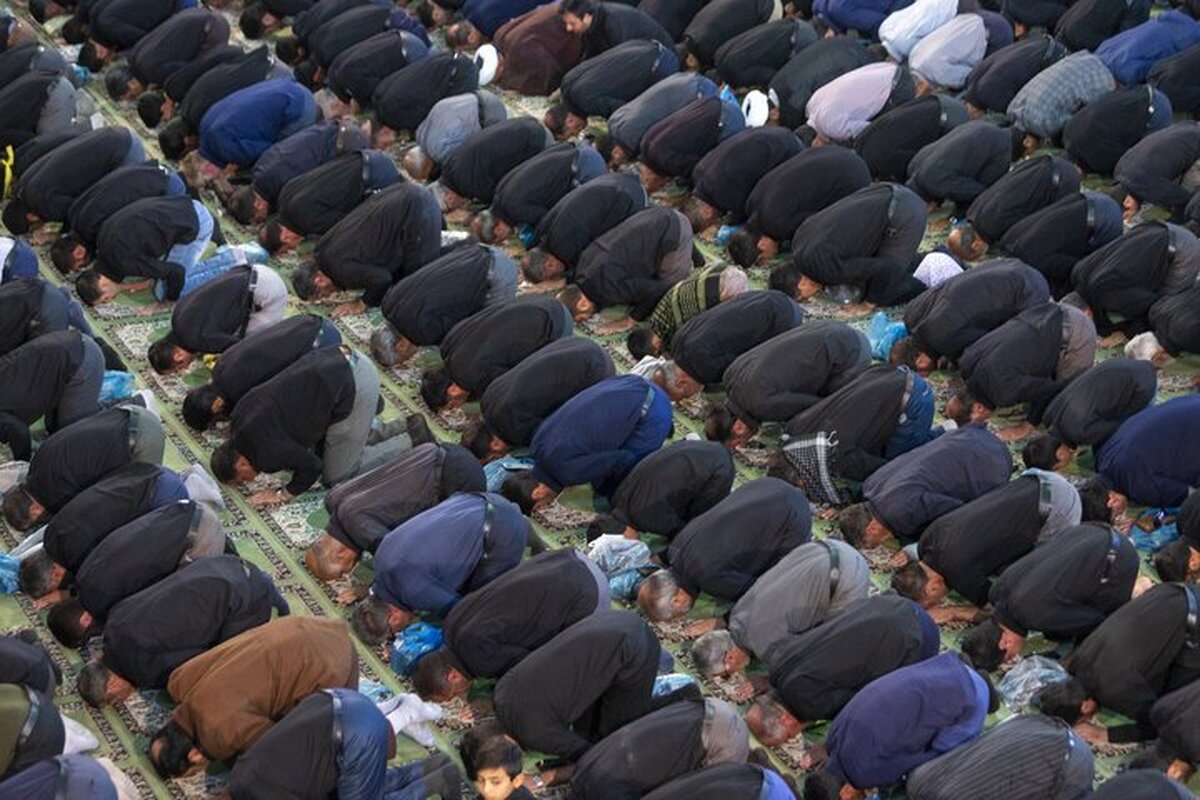 نماز ظهر عاشورا در انگورستان ملک؛ حماسه‌ای از ایمان و ارادت