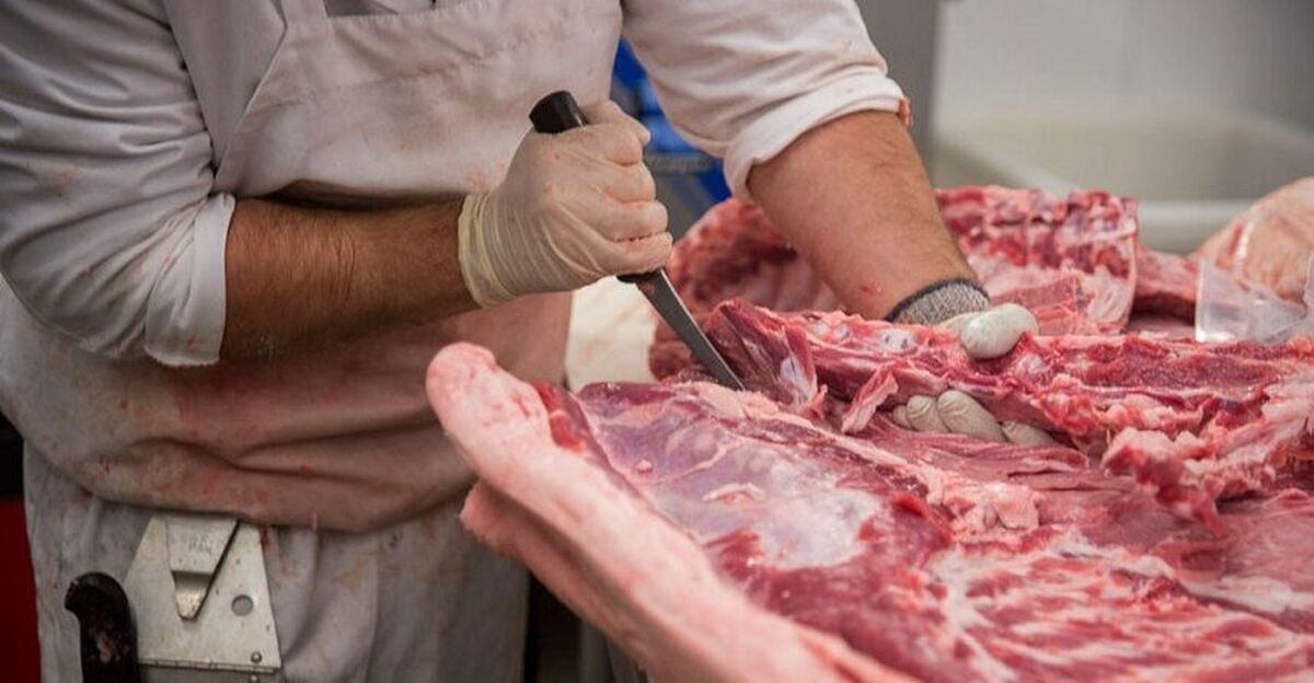 ۴  ماه حبس برای قصاب متخلف بروجردی