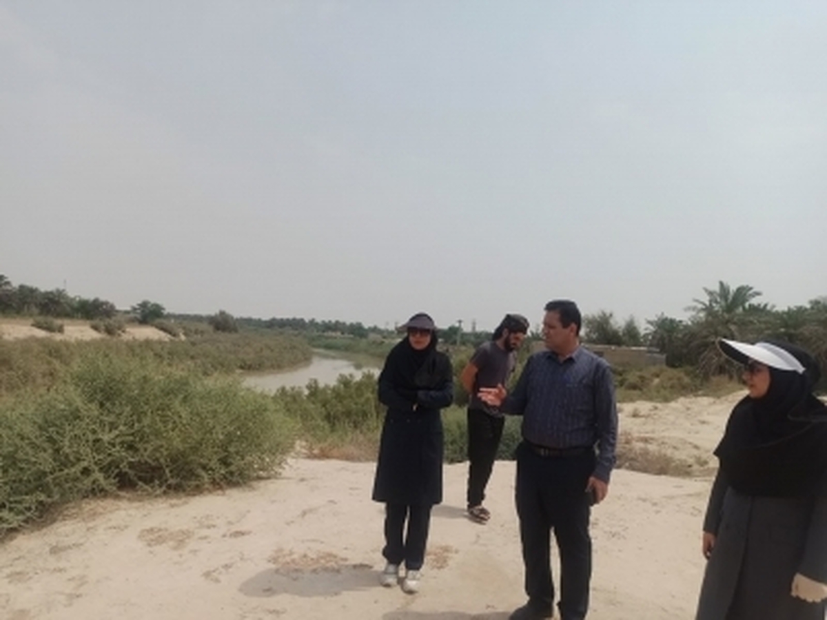 نشست مدیریت راهکارهای تنش آبی بخش کشاورزی ماهشهر برگزار شد