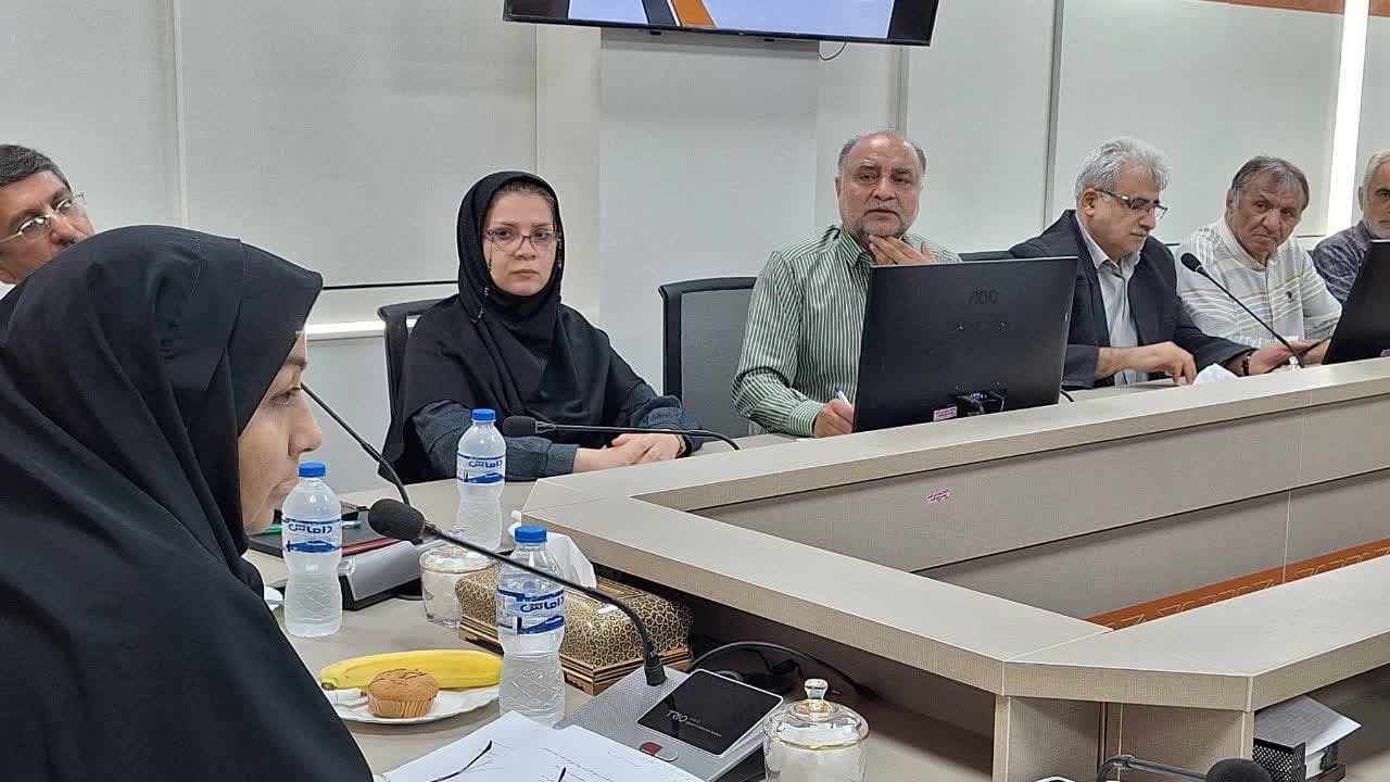 243 معلول تحت پوشش بهزیستی در دستگاههای اجرایی استان قزوین جذب شدند 243 معلول تحت پوشش بهزیستی در دستگاههای اجرایی استان قزوین جذب شدند