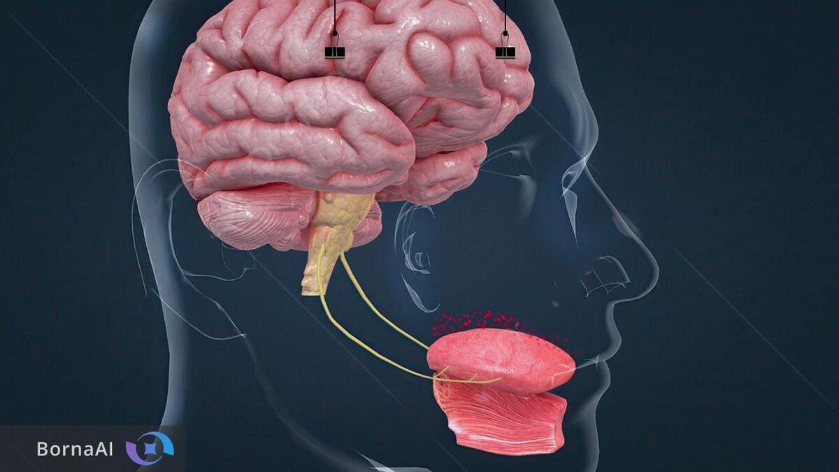 زبان مصنوعی گرافنی مزه‌ها را تشخیص می‌دهد!