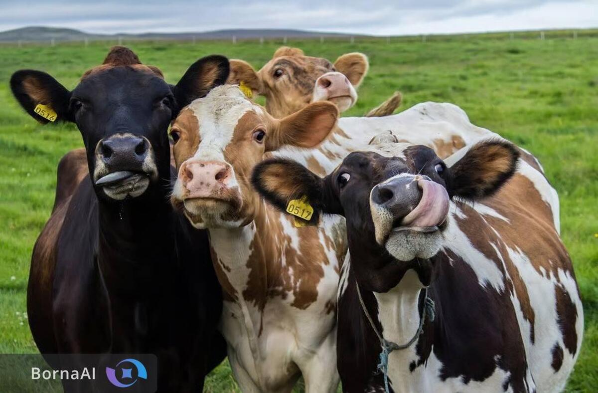 راه‌اندازی بزرگ‌ترین مرکز IVF گاوی کشور/ صادرات جنین گاوهای برتر ایرانی آغاز شد