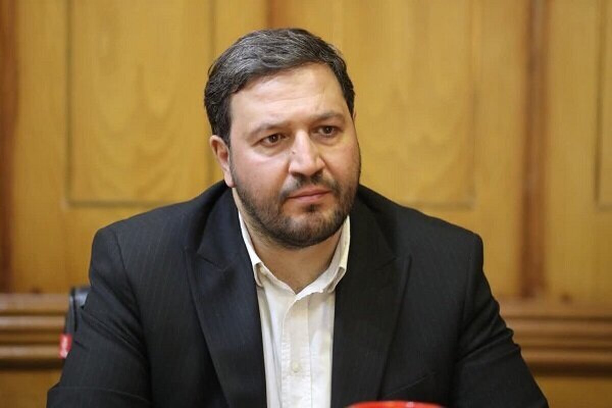 نماینده مجلس: تلاش دولت برای حل مشکلات در حوزه انرژی و معیشت قابل قبول است