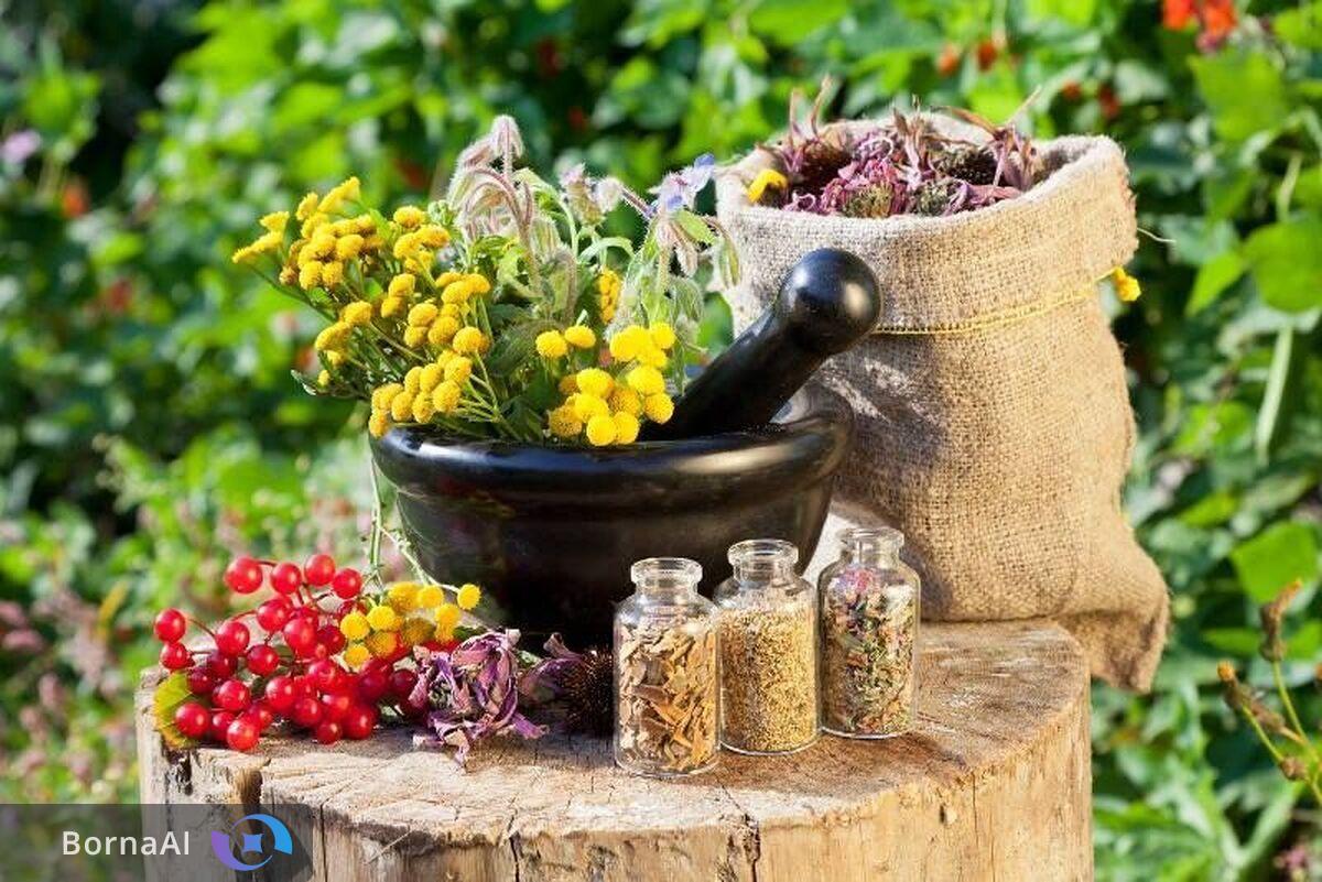 حمایت هدفمند برای توانمندسازی فعالان حوزه گیاهان دارویی