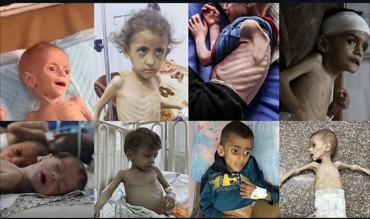 سازمان‌های بین‌المللی و دموکراسی غرب از بحران عزه شرمنده باشند