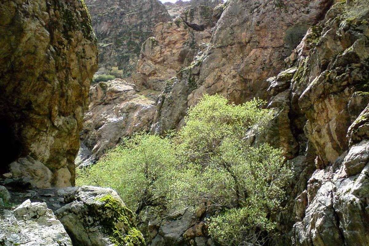 برای فرار از گرمای آخر هفته پایتخت به روستای سولقان سفر کنید