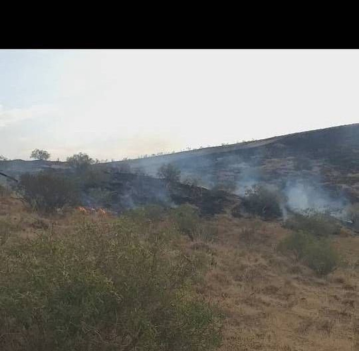 آتش سوزی منطقه حفاظت‌شده عبدالرزاق سقز مهار شد