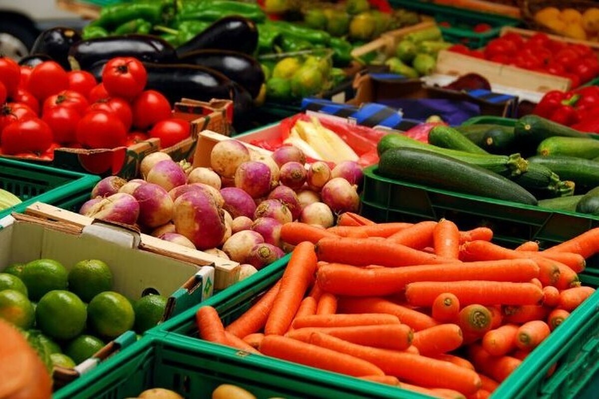 ۳ هزار روستابازار برای عرضه مستقیم محصولات کشاورزی ایجاد می‌شود