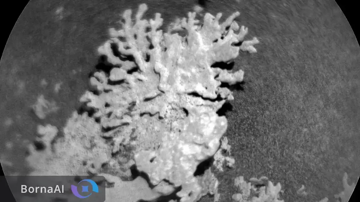 مرجان میلیاردساله در مریخ کشف شد!