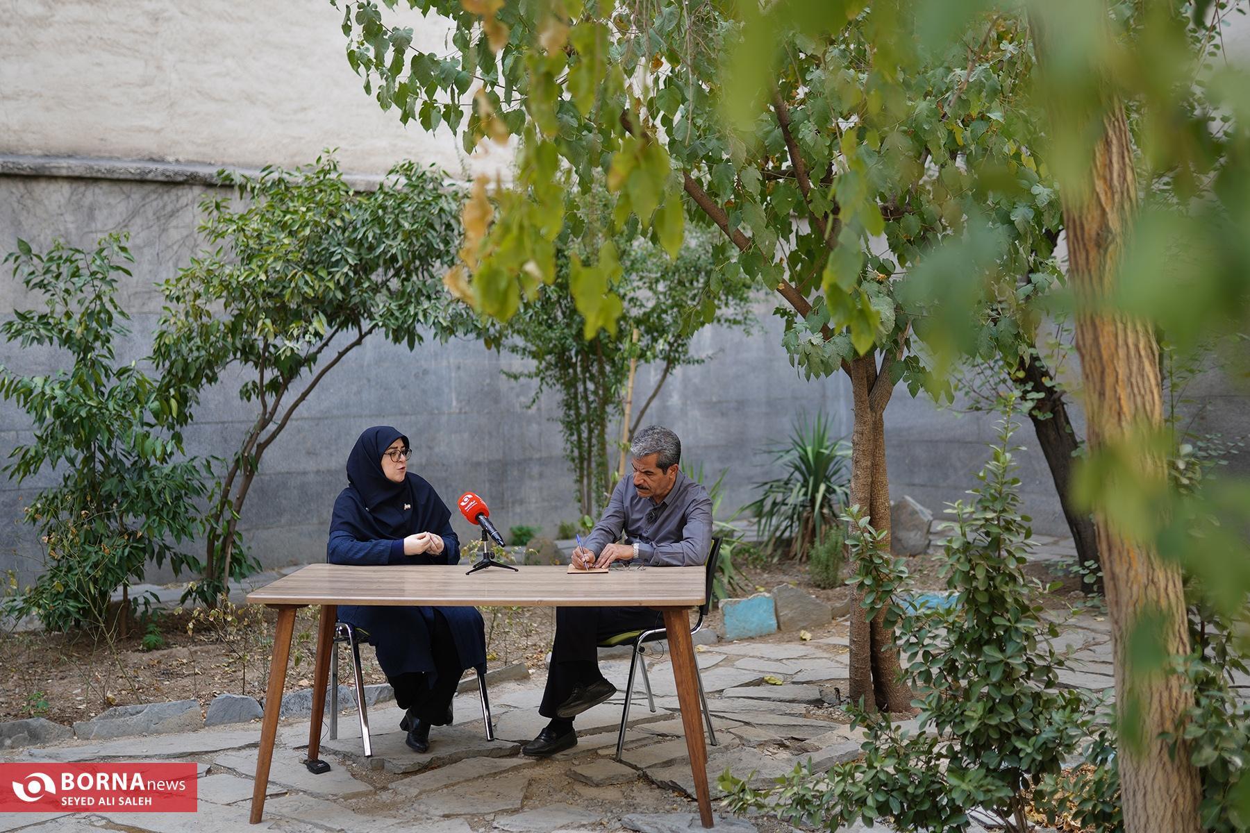 از دیپلماسی تا توسعه انرژیهای نو / روایت مهاجرانی از سیاستهای دولت پزشکیان از دیپلماسی تا توسعه انرژیهای نو / روایت مهاجرانی از سیاستهای دولت پزشکیان