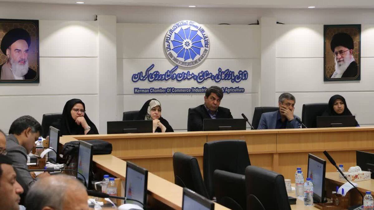 استاندار کرمان: مدیران دولتی باید در کنار بخش خصوصی قرار گیرند