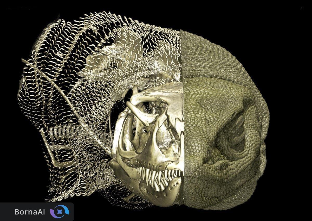 زره پنهان در پوست گوآناها کشف شد!