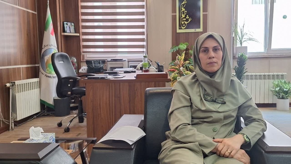 ۲ پروژه غنی سازی جنگل در استان قزوین اجرا میشود ۲ پروژه غنی سازی جنگل در استان قزوین اجرا میشود