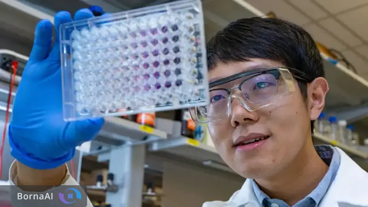 باکتری‌هایی که نقش کلیدی در استحکام استخوان‌ها دارند