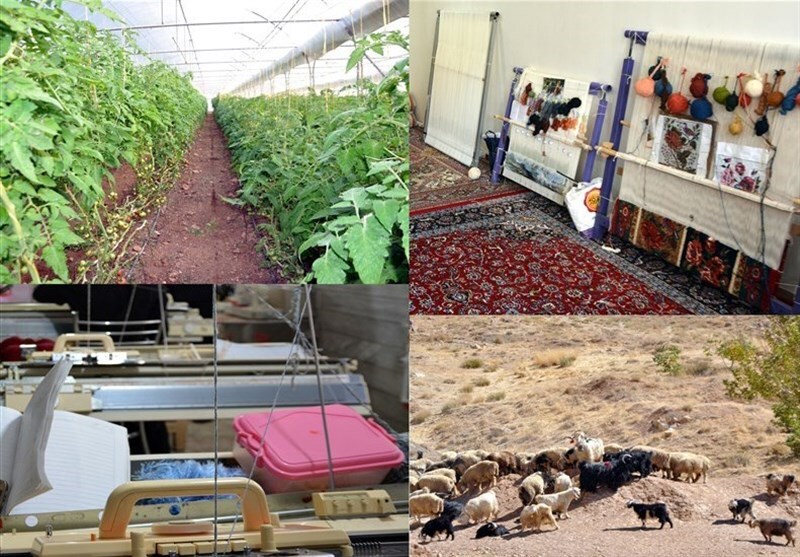 پرداخت ۶۰۰ میلیارد تومان تسهیلات توسط صندوق کارآفرین امید استان قزوین